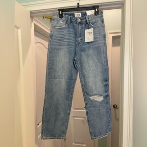 Insane Gene High Rise Lightwash Straight Jeans